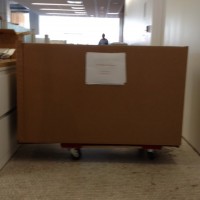 Its all about the shoes