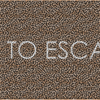 Its not all about a race