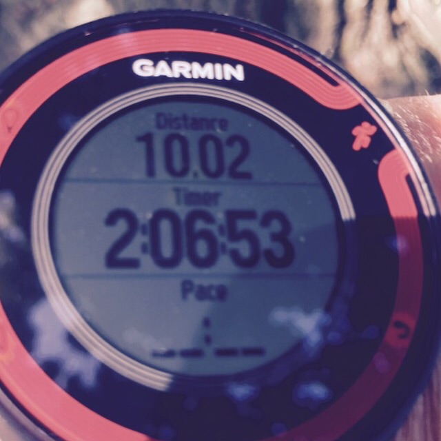 Success! A long run done